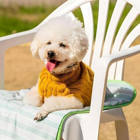 Corredor Yugawara Dog＆Resort 熱海市 エクステリア 写真