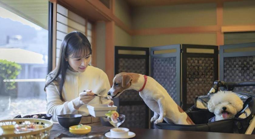 Corredor Yugawara Dog＆Resort 熱海市 エクステリア 写真
