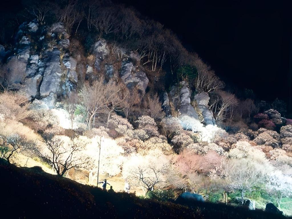 Corredor Yugawara Dog＆Resort 熱海市 エクステリア 写真