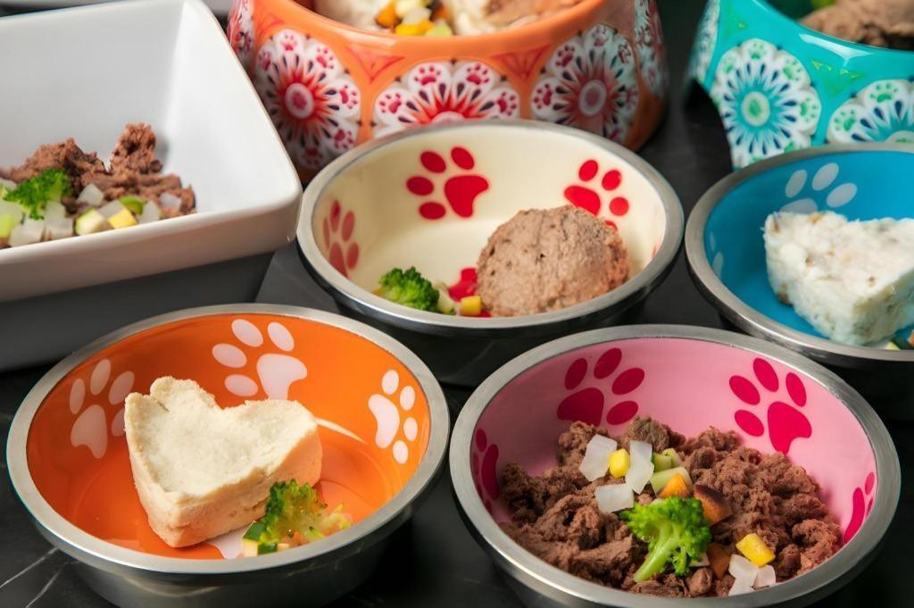 Corredor Yugawara Dog＆Resort 熱海市 エクステリア 写真