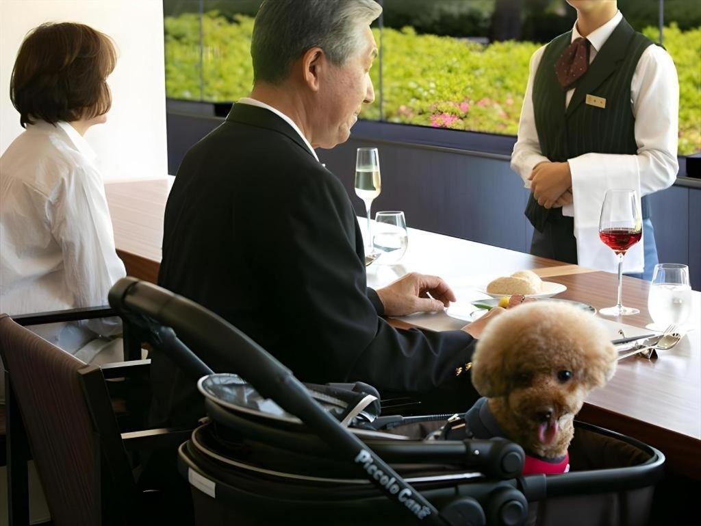 Corredor Yugawara Dog＆Resort 熱海市 エクステリア 写真