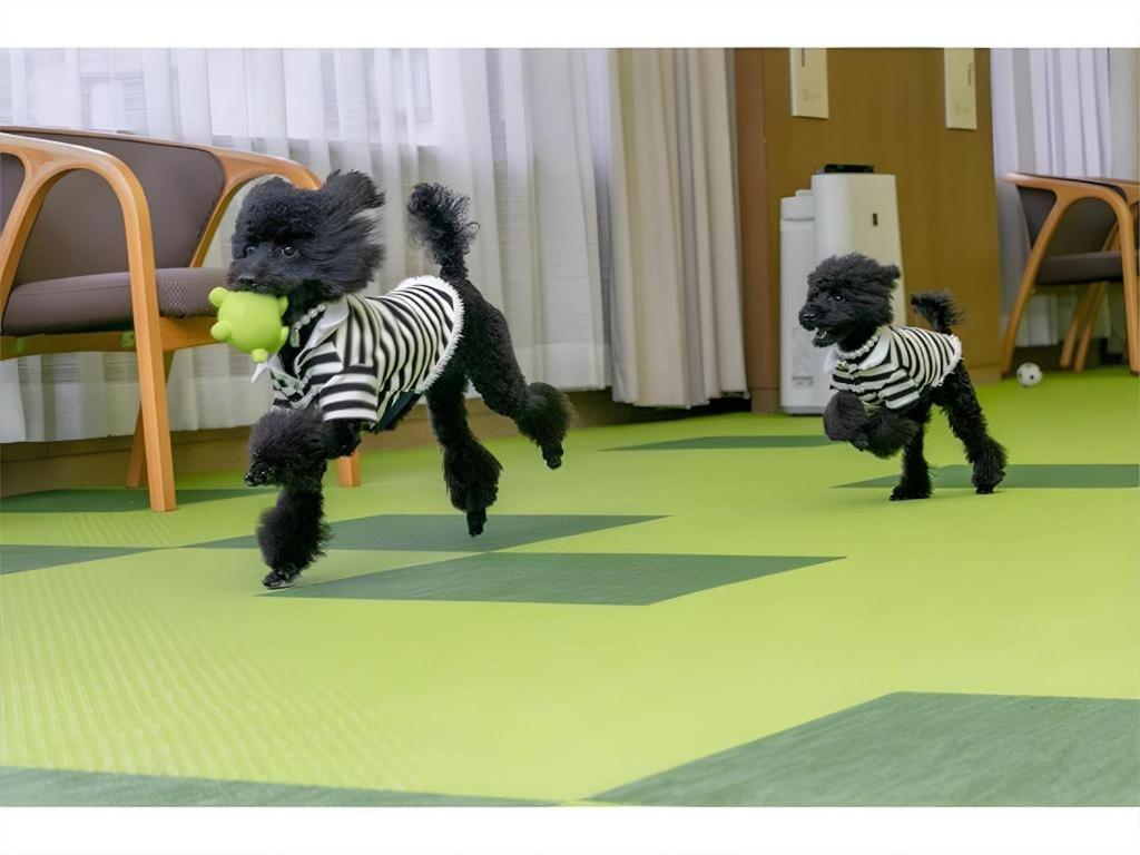 Corredor Yugawara Dog＆Resort 熱海市 エクステリア 写真