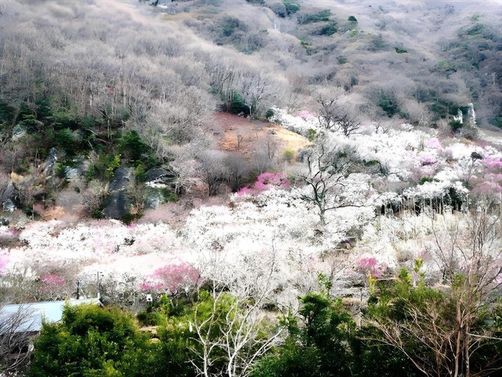 Corredor Yugawara Dog＆Resort 熱海市 エクステリア 写真