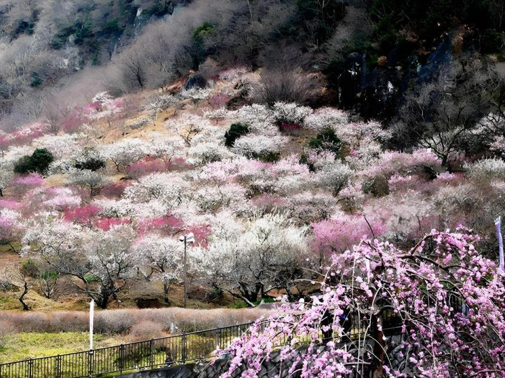 Corredor Yugawara Dog＆Resort 熱海市 エクステリア 写真